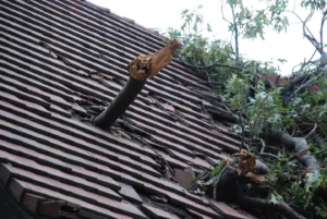 overhanging tree branches roof damage river city pros memphis