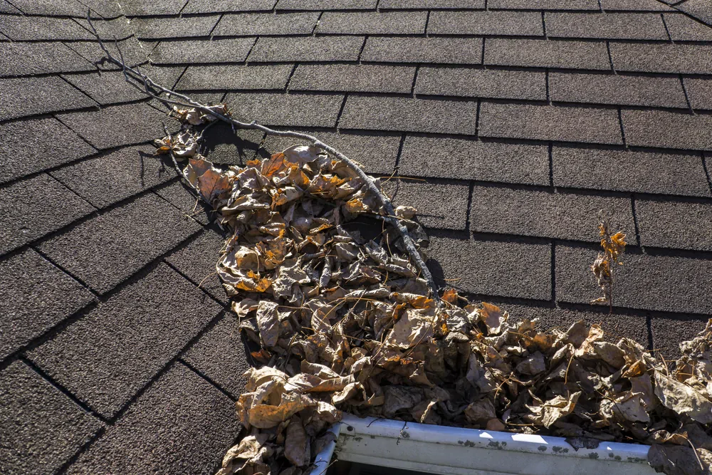 remove roof debris memphis river city pros